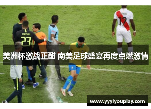美洲杯激战正酣 南美足球盛宴再度点燃激情