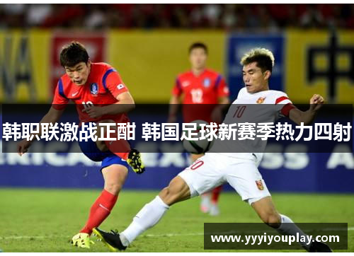 韩职联激战正酣 韩国足球新赛季热力四射